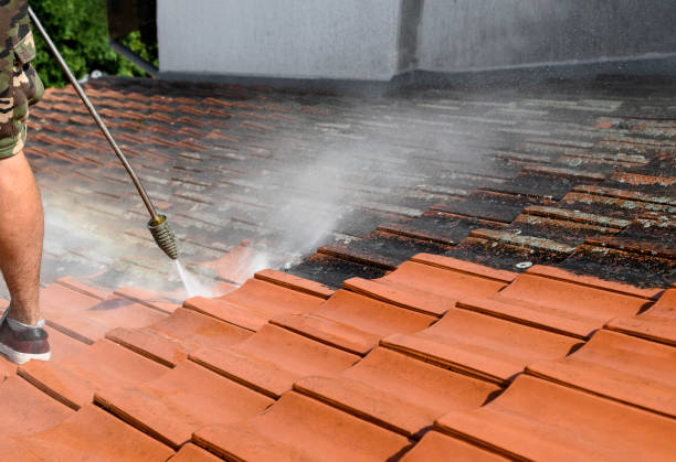 Best Local Pressure Washing Services  in Roosevelt Park, MI