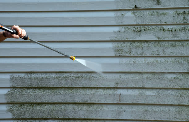 Best Affordable Power Washing  in Roosevelt Park, MI