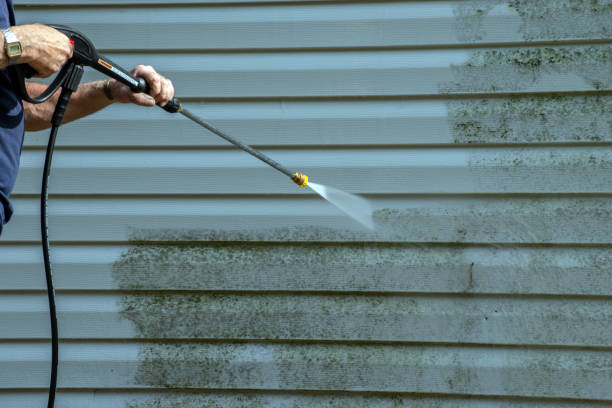 Best Exterior Home Cleaning  in Roosevelt Park, MI