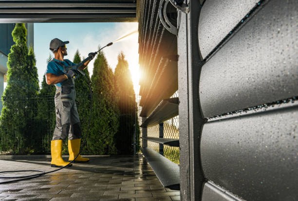 Best Exterior Home Cleaning  in Roosevelt Park, MI
