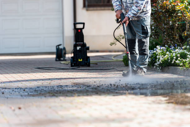 Best Pressure Washing Near Me  in Roosevelt Park, MI