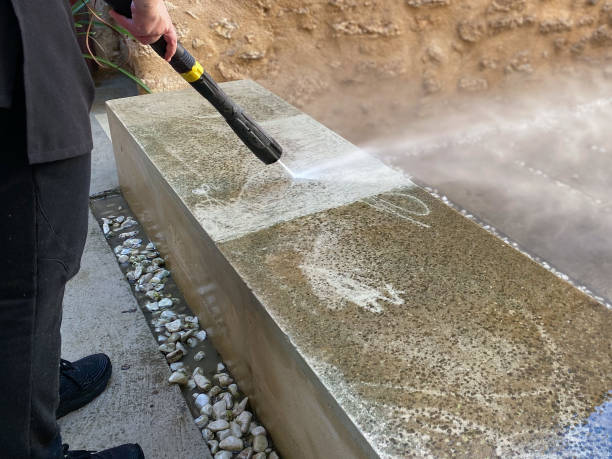 Best Deck Pressure Washing  in Roosevelt Park, MI