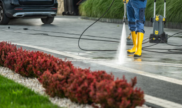 Best Pressure Washing Patio  in Roosevelt Park, MI