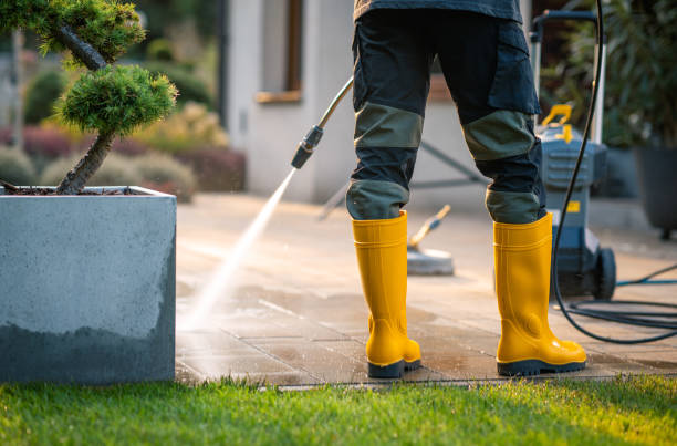 Best Concrete Pressure Washing  in Roosevelt Park, MI